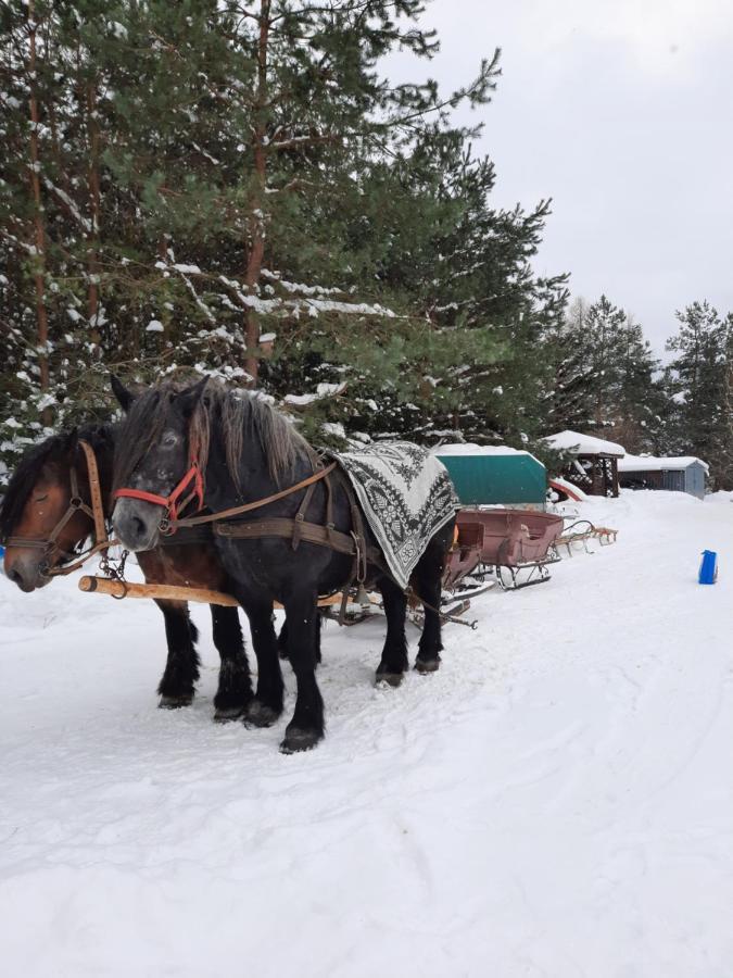 Farmstay Marianowka U Tesi Giby Экстерьер фото