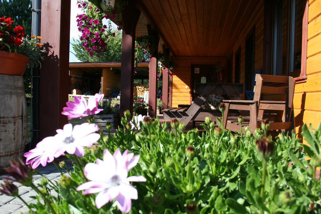 Farmstay Marianowka U Tesi Giby Экстерьер фото